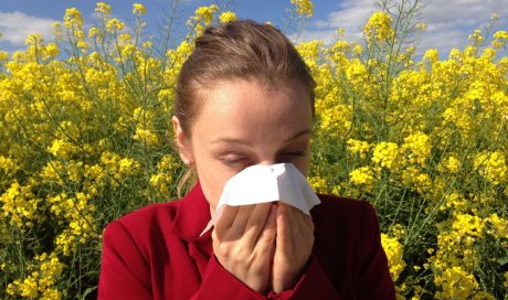 Traitement pour les allergies à Château-Chinon