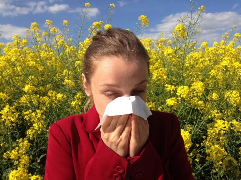 Traitement pour les allergies à Château-Chinon